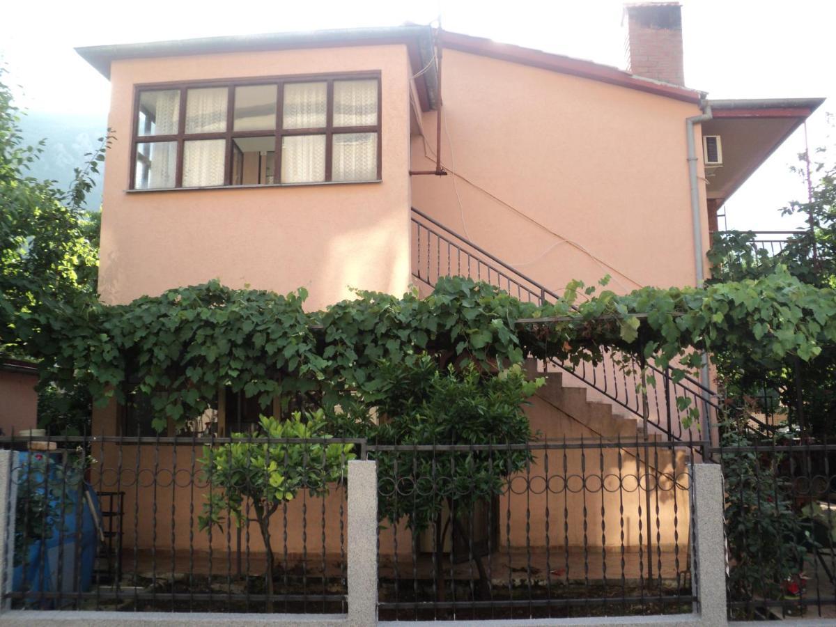 Apartment Sali 코토르 외부 사진